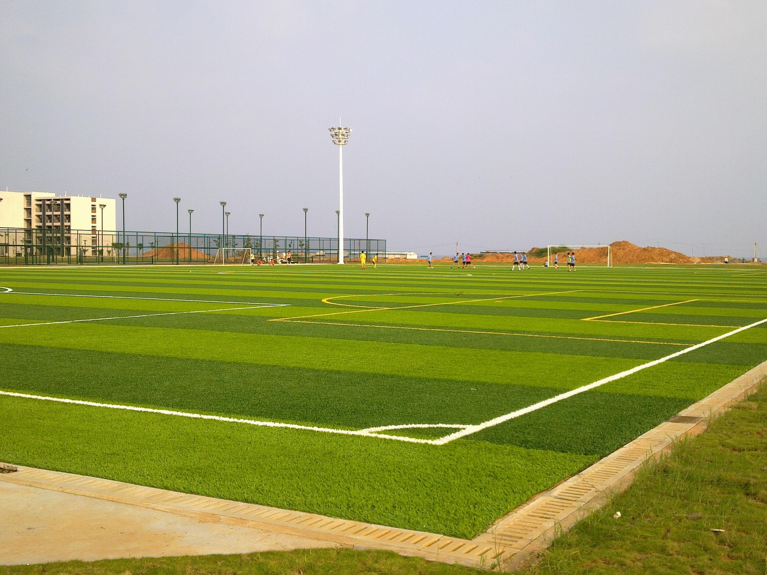 十一人制足球场